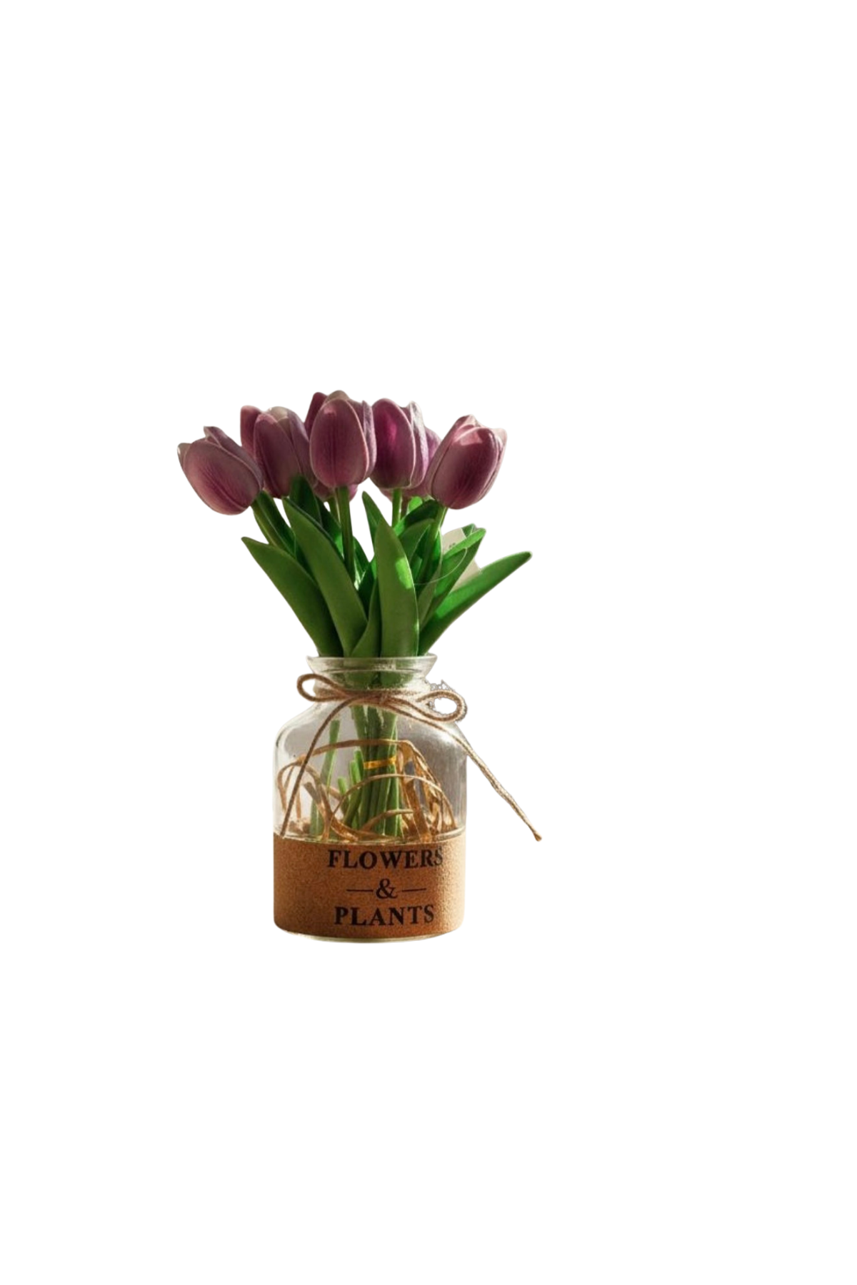 Vaas Flowers & Plants